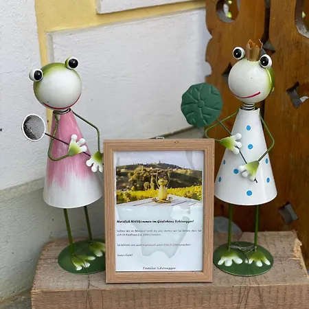 Guest house Haus Schoenegger 3*