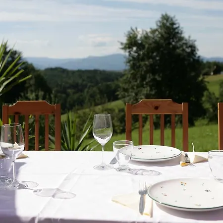 Haus Schoenegger קיצק אים זאוזל