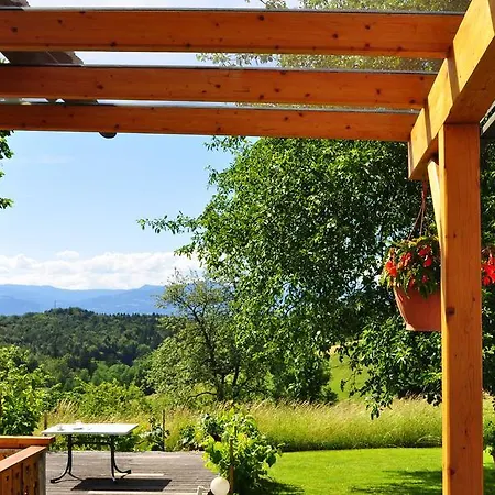 Guest house Haus Schoenegger 3*