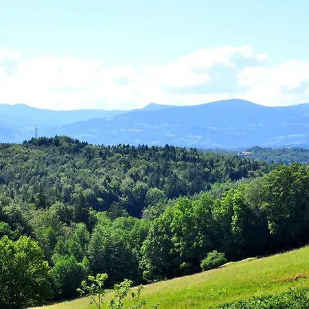 בית הארחה Haus Schoenegger קיצק אים זאוזל