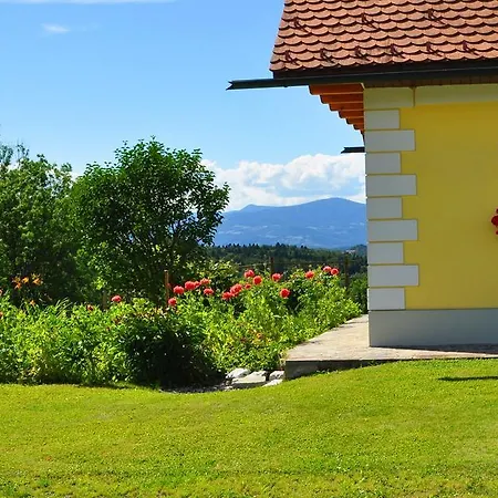 בית הארחה Haus Schoenegger 3*