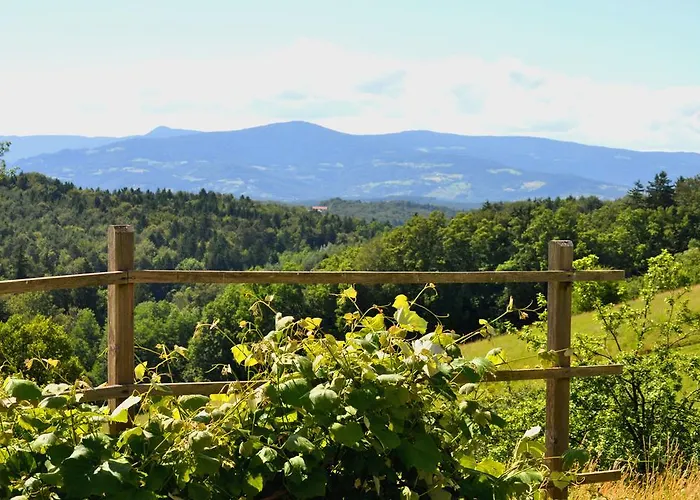 Gasthuis Haus Schoenegger